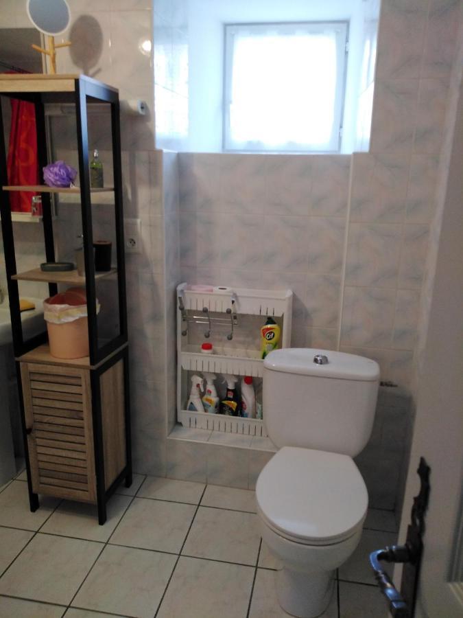 Appartamento Chaleureux à la campagne Saint-Germain-Laprade Esterno foto